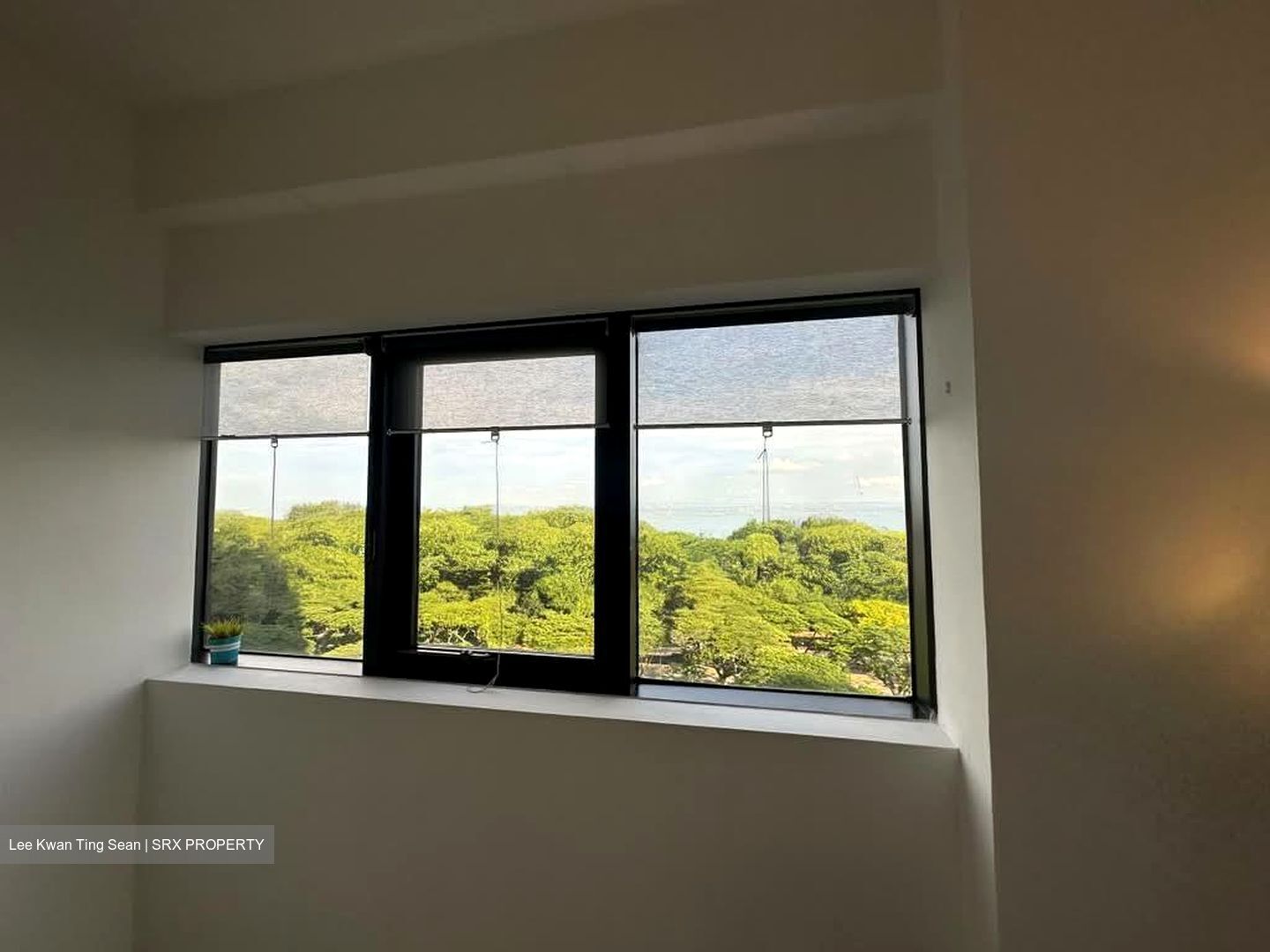 Bayshore Park (D16), Condominium #571404021